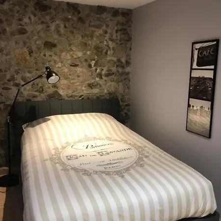 Apartamento Immeuble De Charme La Tronche La Tronche  Exterior foto
